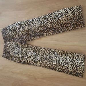 Dolce & Gabbana Leopard Print  Jean | 38